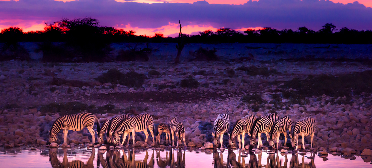 AFRICA BANNER 2